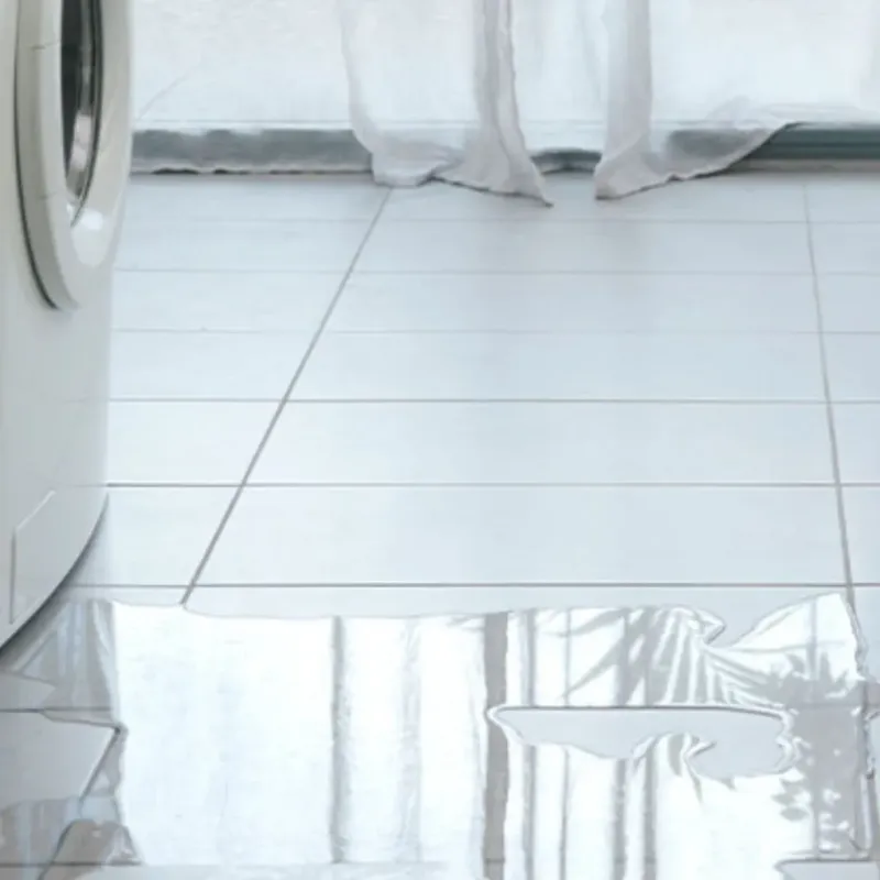 Appliance Leak Cleanup in Lansing, IL