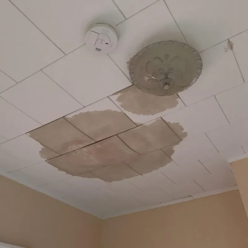 Ceiling Water Damage Repair in Lansing, IL