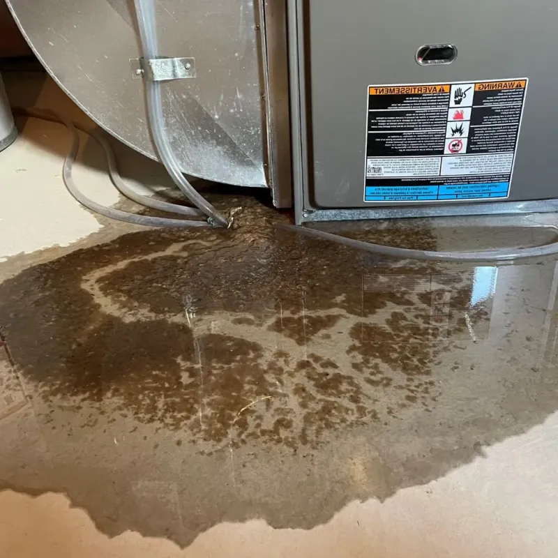 Pipe Burst and Leak Restoration in Lansing, IL